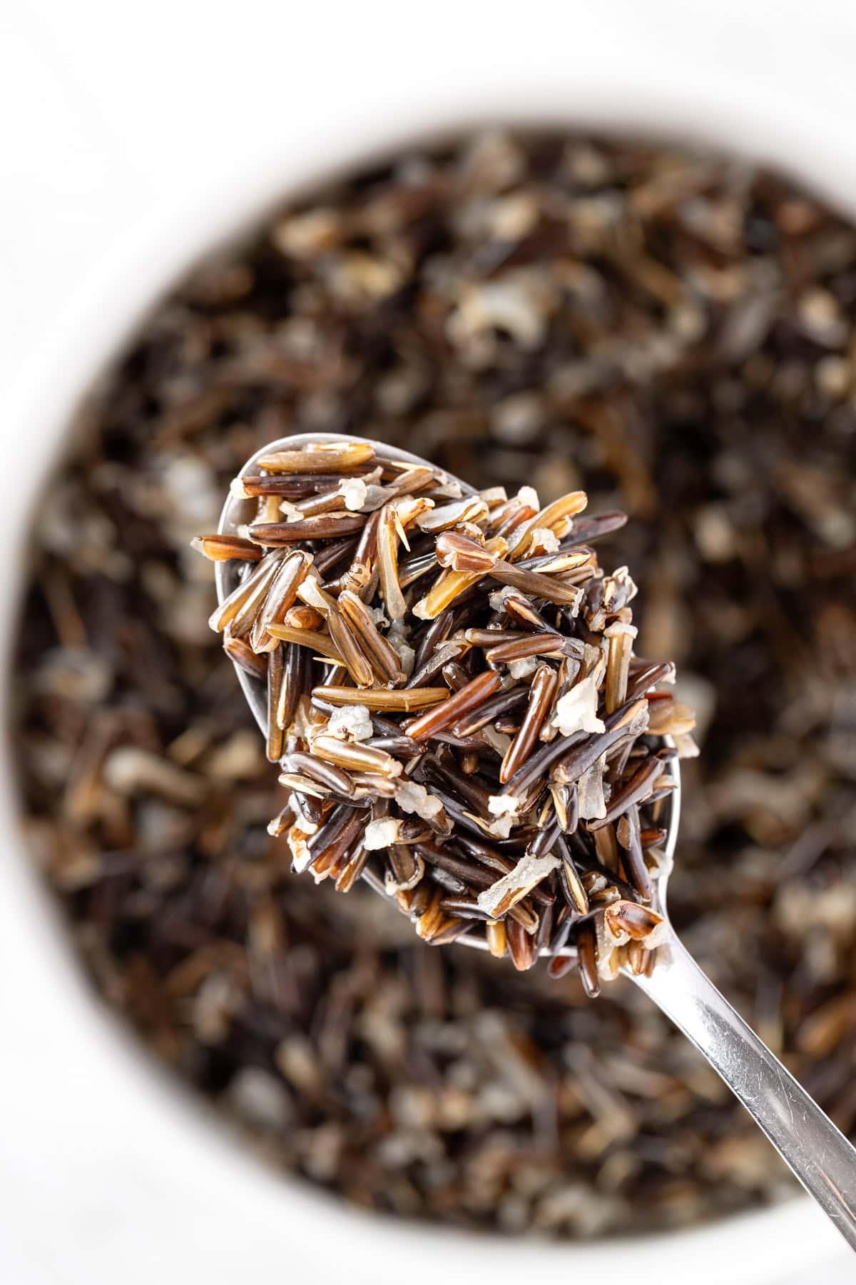 A spoonful of cooked Sweetgreen wild rice.