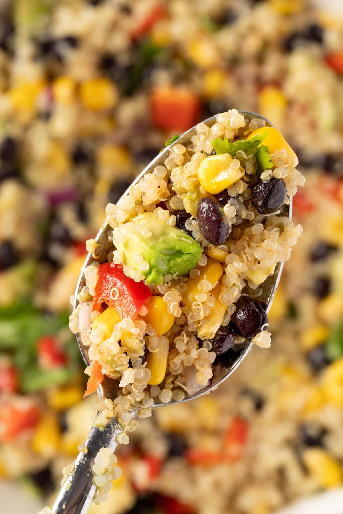 Up close view of a spoonful of Southwest Quinoa Salad.