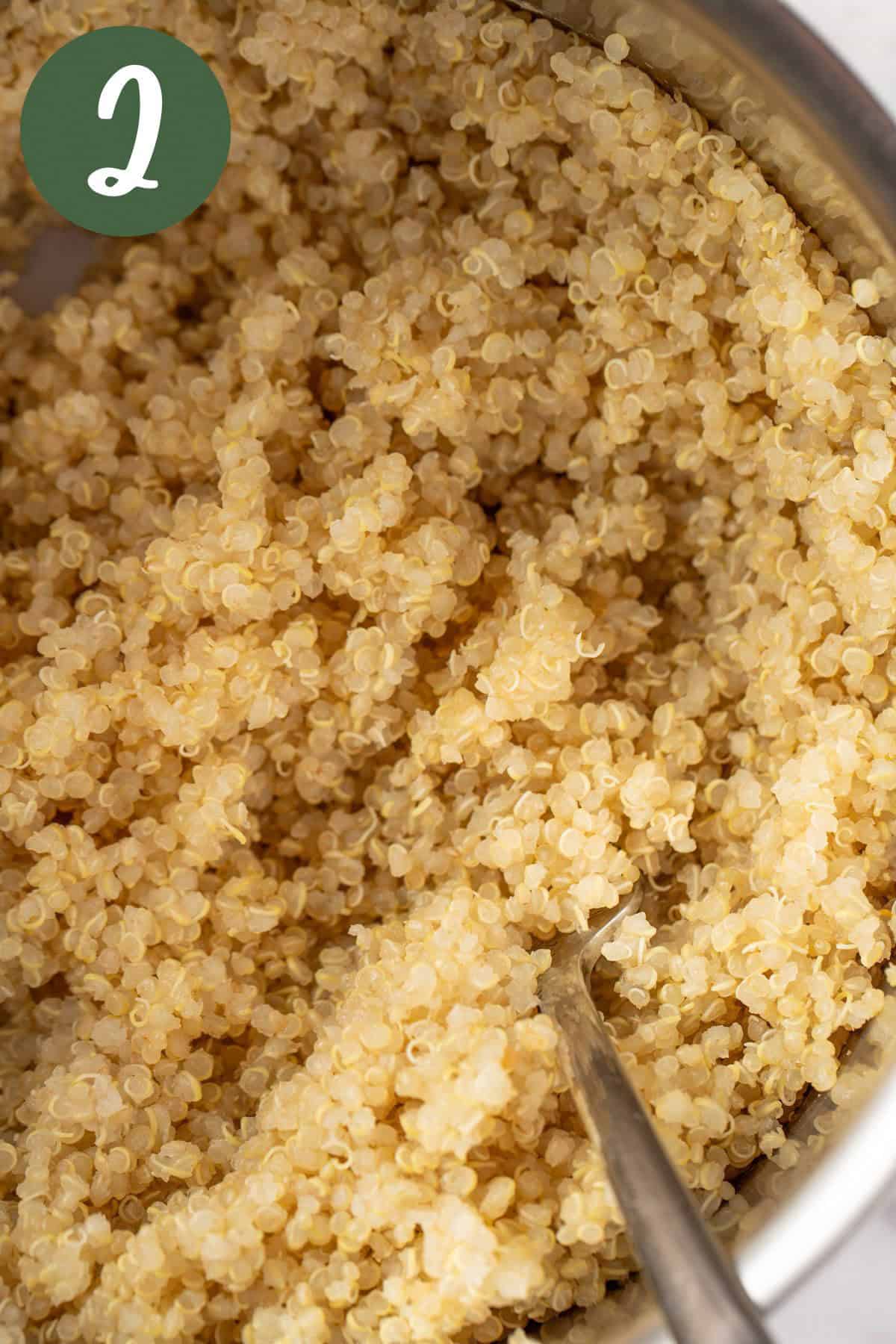 A saucepan filled with cooked quinoa, being fluffed up with a fork.