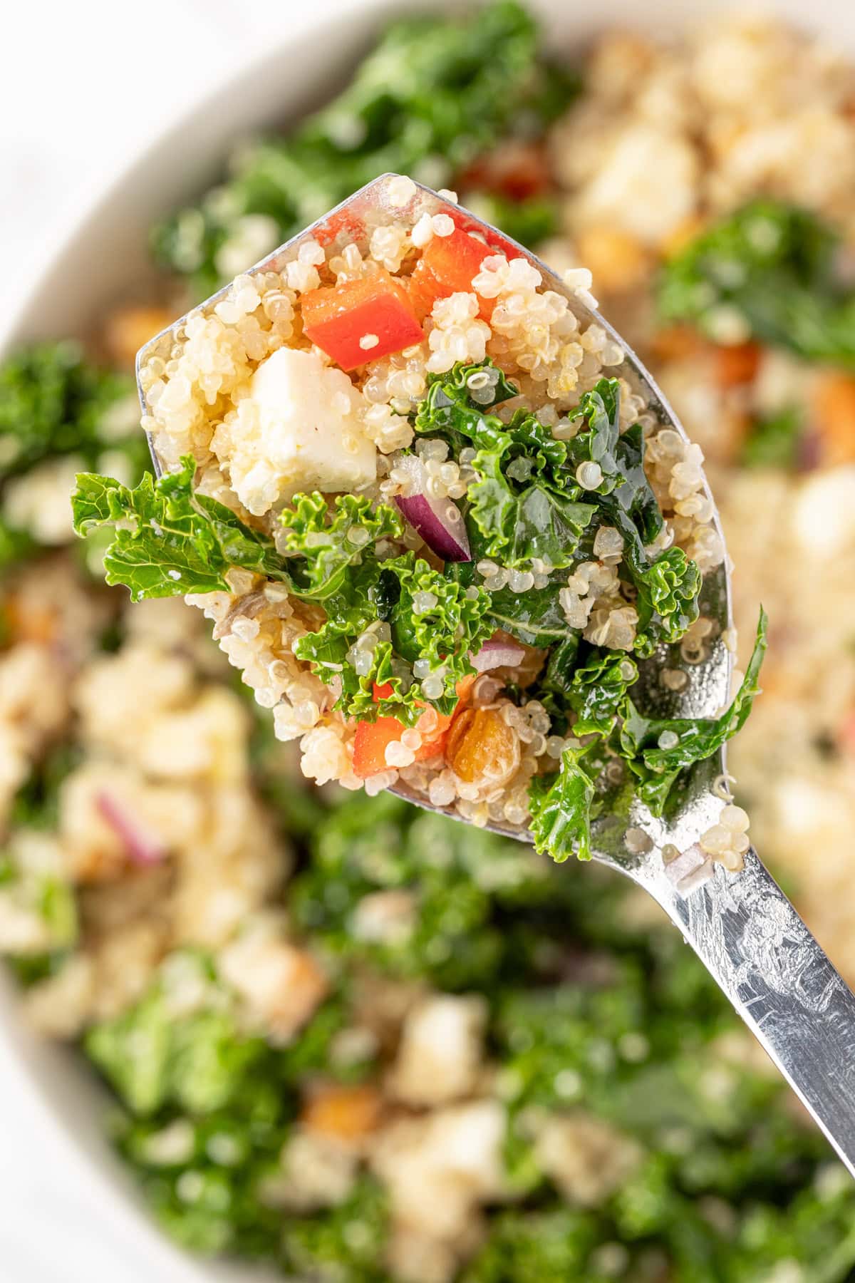 An up-close spoonful of kale and quinoa salad topped with lemon dijon vinaigrette dressing.