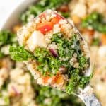 An up-close spoonful of kale and quinoa salad topped with lemon dijon vinaigrette dressing.