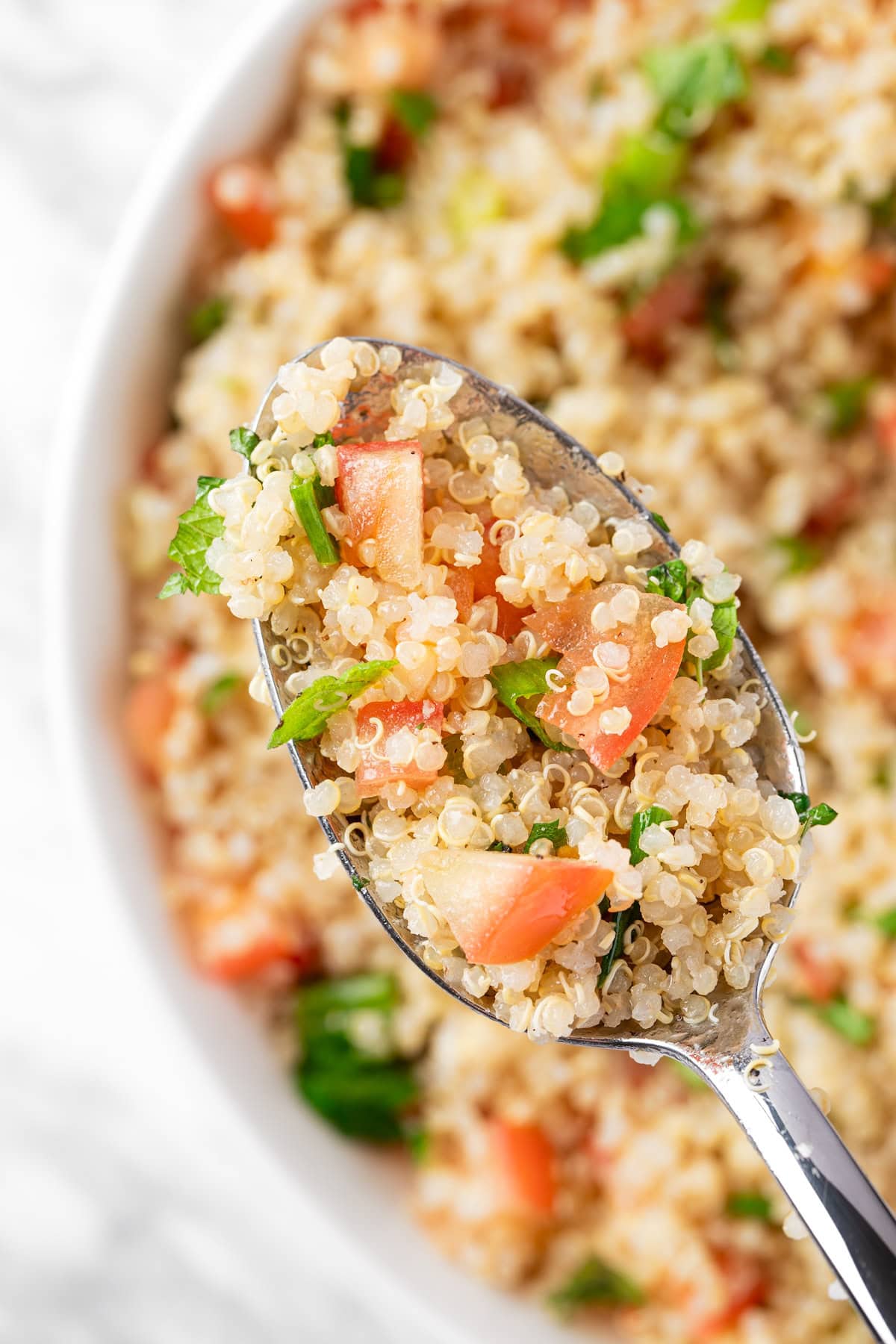 An up close view of a spoonful of Quinoa Tabbouleh Salad with diced tomatoes, mint leaves and parsley.